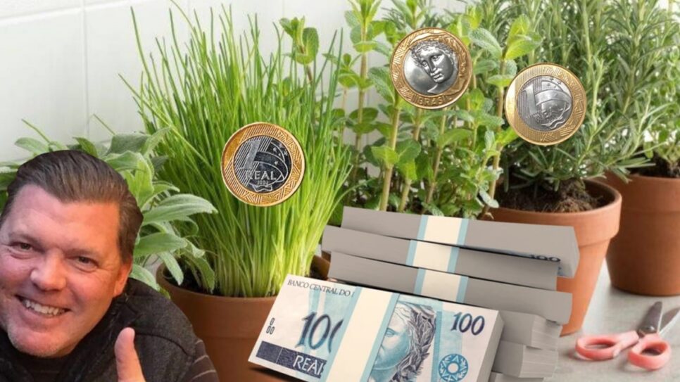 Faça suas plantas brotarem dinheiro na sua vida com essas dicas esotéricas para 2024 (Fotos: Reprodução/ FreePik/ Montagem)