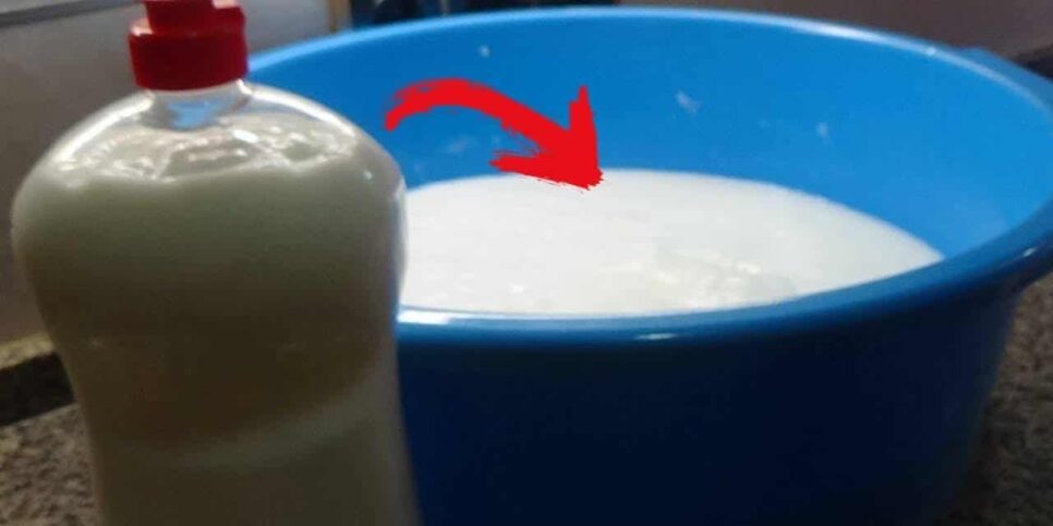Aprenda a fazer sabonete líquido simples e barato (Imagem: Reprodução)