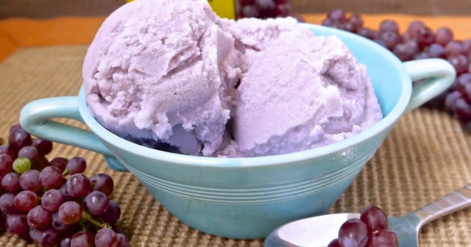 Que calor! Faça um sorvete fácil usando apenas DOIS ingredientes (Foto: Reprodução/Internet)