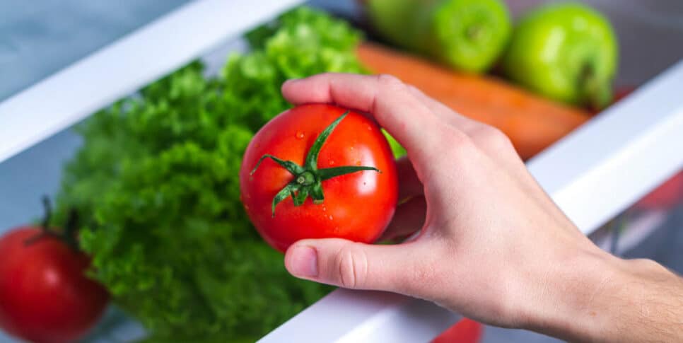 Tomate não se deve ser colocado na geladeira (Imagem: Reprodução)