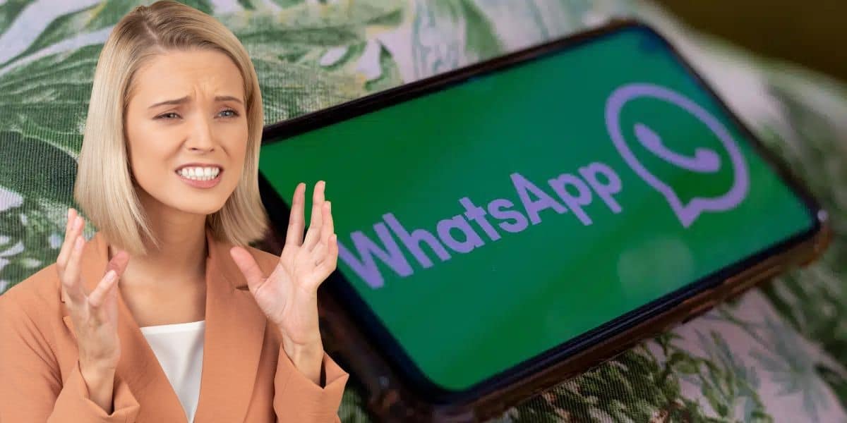 Usuário do aplicativo do WhatsApp em pânico com mudanças (Foto: Reprodução / Internet)