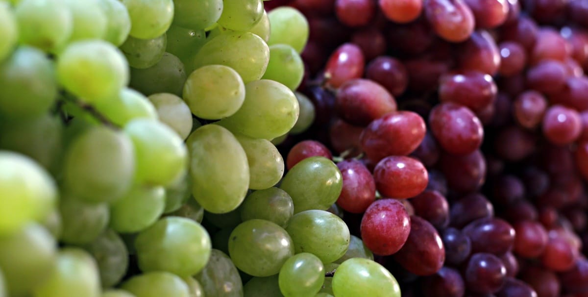 Uvas são ótimas para o organismo e ajudam a prevenir gases (Foto: Reprodução/ GetyImages)