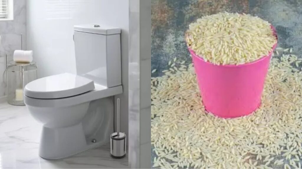 Vaso sanitário com baú de descarga é o local perfeito para colocar um copo de arroz branco cru (Foto: Reprodução/ FreePik/ Montagem)