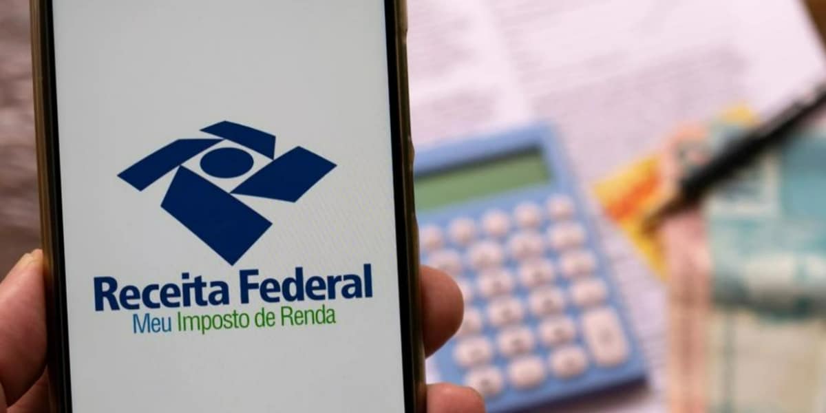 Declaração do Imposto de Renda para MEIs em 2024 (Foto: shutterstock)