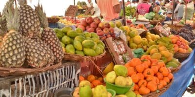 Imagem do post Para ir na feira essa semana: Essas frutas são ótimas aliadas para o seu emagrecimento