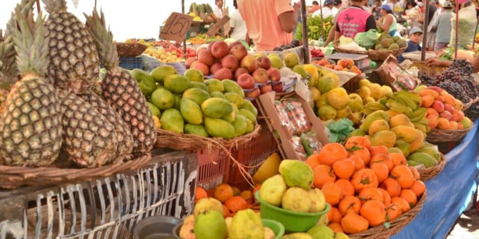 Frutas consideradas ótima aliadas para o processo de emagrecimento (Imagem Reprodução Canva)