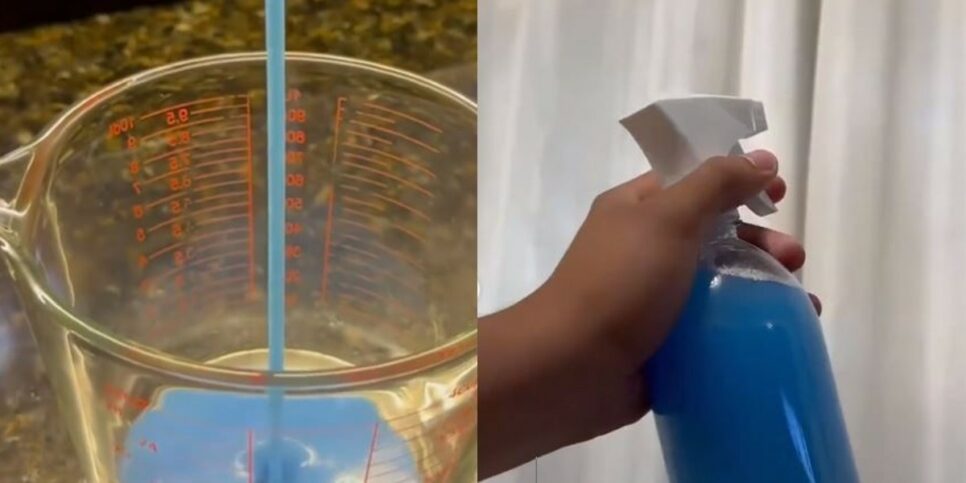 Ambiente perfumado: guia fácil para criar aromatizador com amaciante (Foto: Reprodução/Internet)