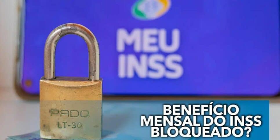 Benefício do INSS bloqueado (Foto: Reprodução / Pronatec)