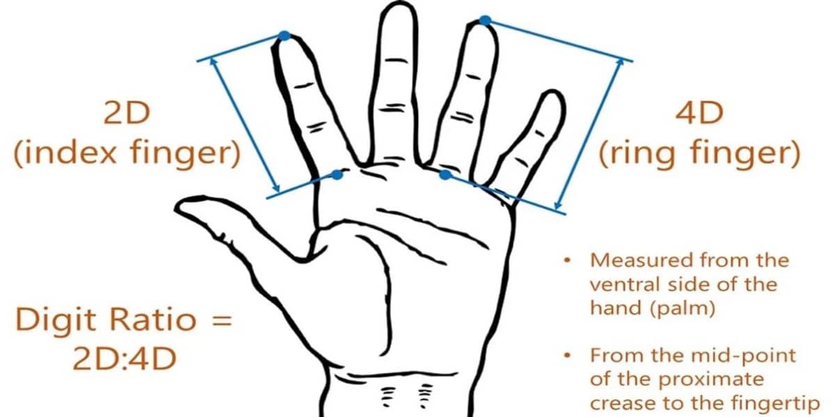 Comprimento dos dedos pode ser indicativo de saúde mental, revela pesquisa  (Foto: Universidade de Swansea)