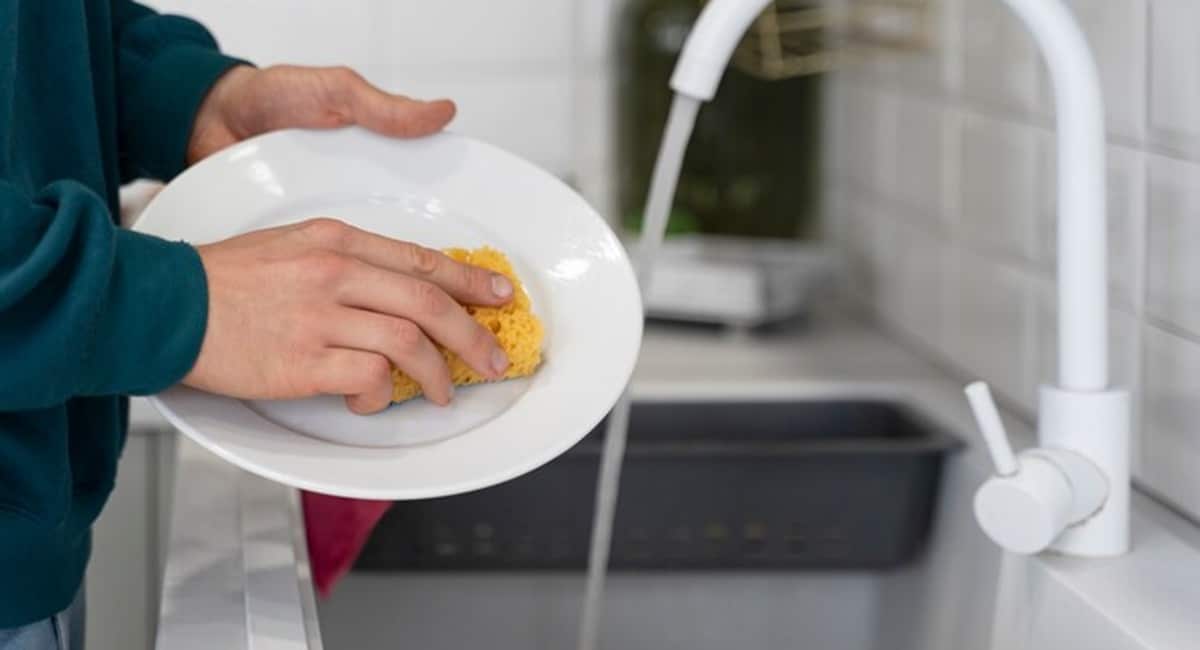 Lave sua louça sempre que comer algo para evitar proliferação de bactéria e germes que prejudicam saúde (Foto: Reprodução/ FreePik)