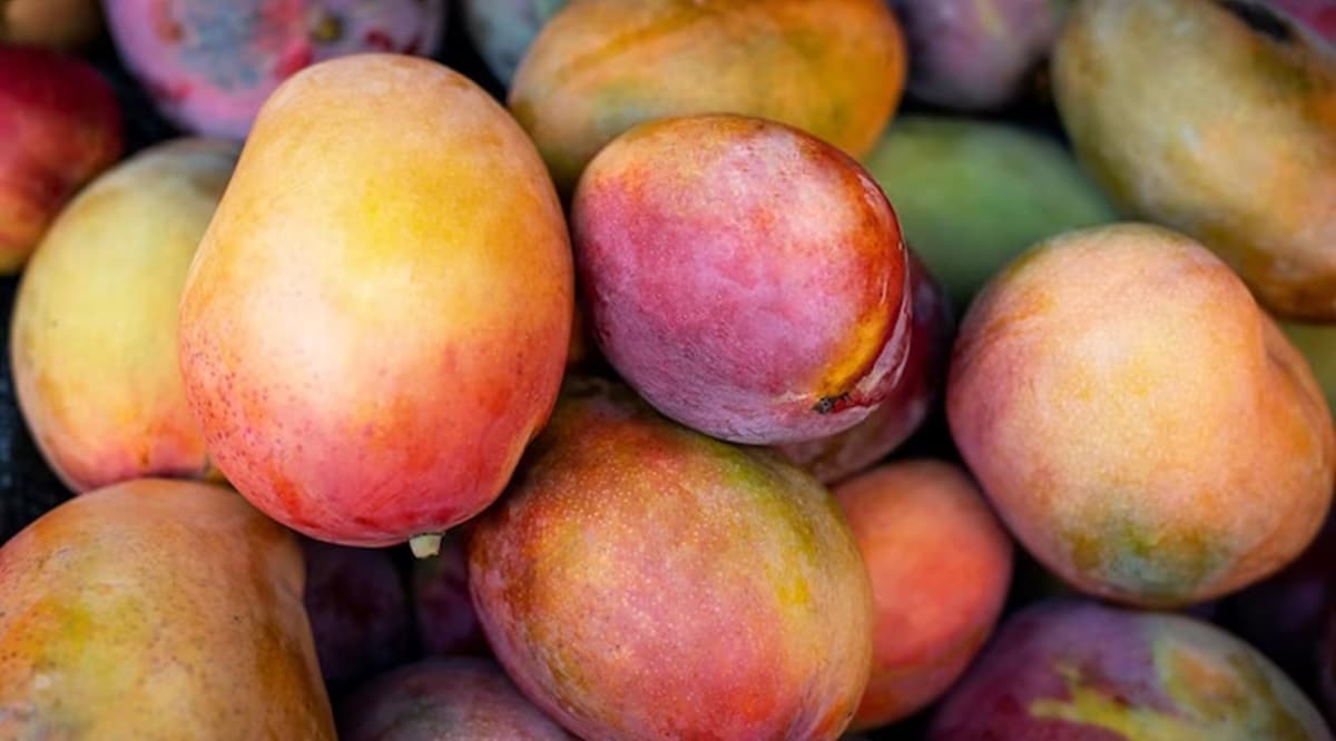 Escolha sempre mangas frescas e maduras para fazer a sobremesa (Foto: Reprodução/ FreePik)