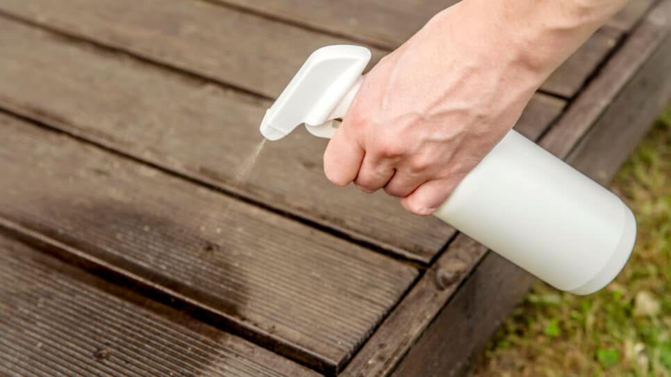Spray de limpeza caseiro (Foto: Shutterstock)