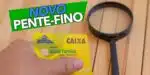 Novo pente-fino do Bolsa Família (Foto: Reprodução / Pronatec)