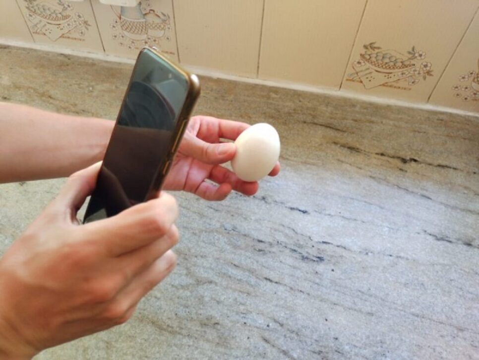 deteriorado Ovo Como saber se o ovo está estragado usando o celular (Foto: Reprodução/ Montenegro FM)