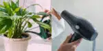 Secador de cabelo nas plantas? Veja o real motivo para isso (Foto: Reprodução/Montagem HoraDoBenefício)