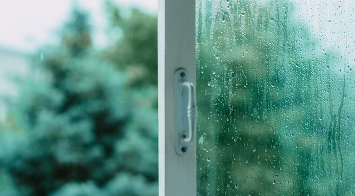 Deixe portas e janelas abertas durante a chuva e após ela para melhorar a qualidade do ar de casa (Foto: Reprodução/ FreePik)