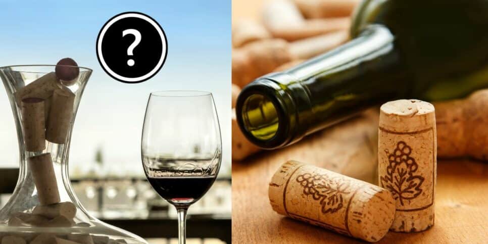 Rolhas de vinho (Foto: Reprodução / Internet / Montagem HoraDoBenefício)