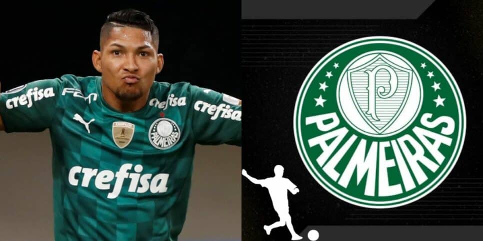 Rony e logo do Palmeiras (Foto: Reprodução / Pronatec / Montagem HoraDoBenefício)