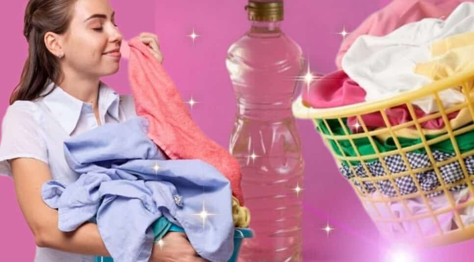 Tenha roupas mais cheirosas, limpas e com cores vivas com o uso do Vinagre Branco (Fotos: Reprodução/ FreePik/ Montagem Gustavo)