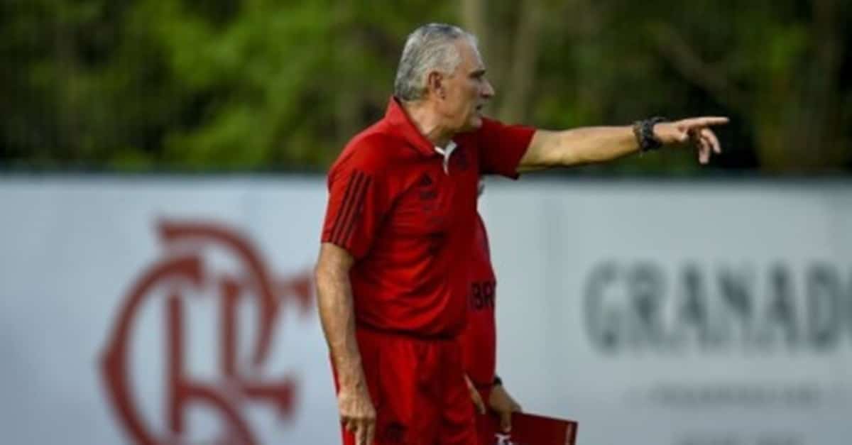 Flamengo deve conseguir embolsar valor milionário (Foto: Reprodução/ Marcelo Cortes/ CRF)