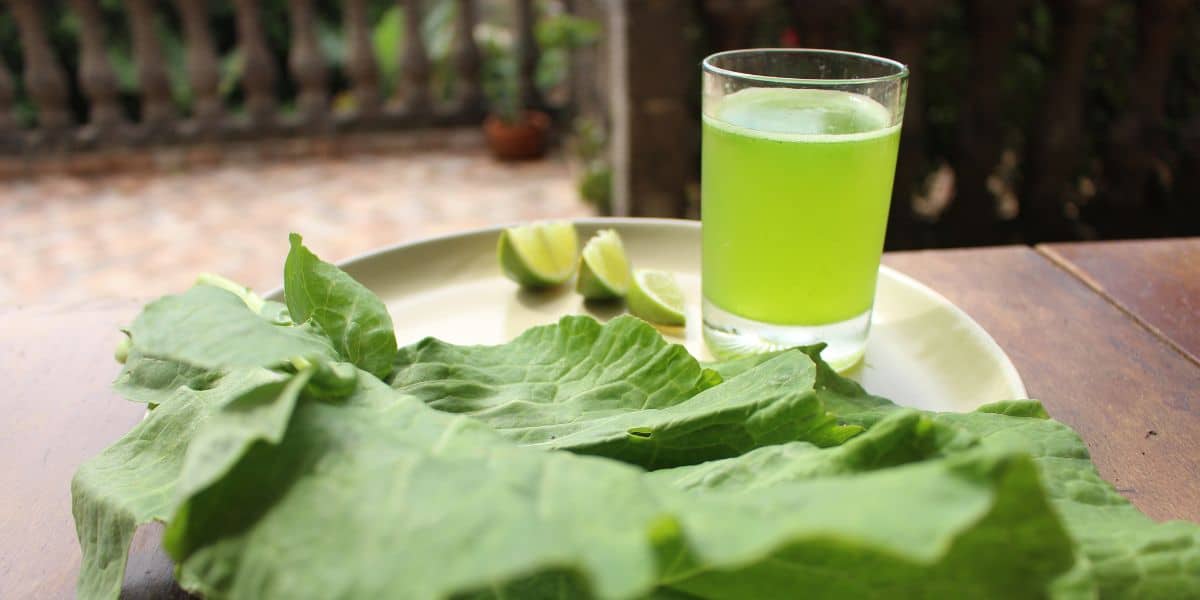 Suco de apenas dois ingredientes que pode te ajudar a perder os quilinhos indesejados (Imagem Reprodução Canva)