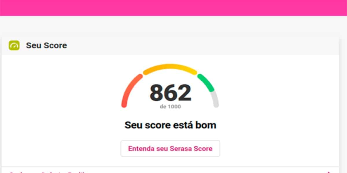 Saiba como aumentar o Score Serasa com o seu CPF (Foto: Reprodução/Portal instams)