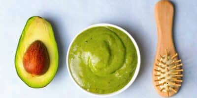 Abacate (Reprodução/Internet)