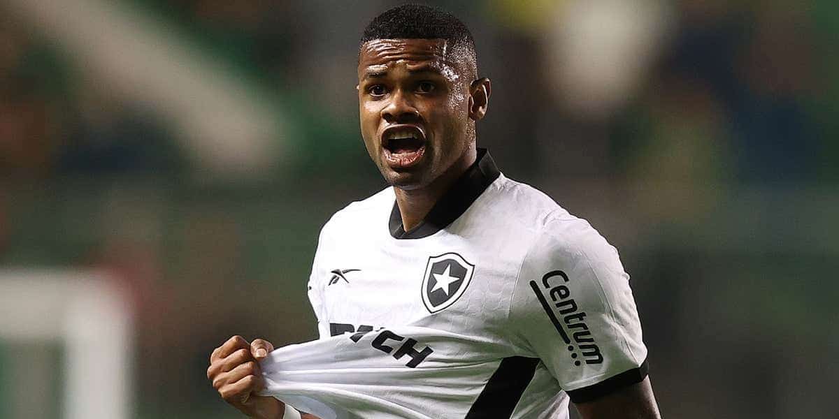 Júnior Santos (Foto: Divulgação/Botafogo)