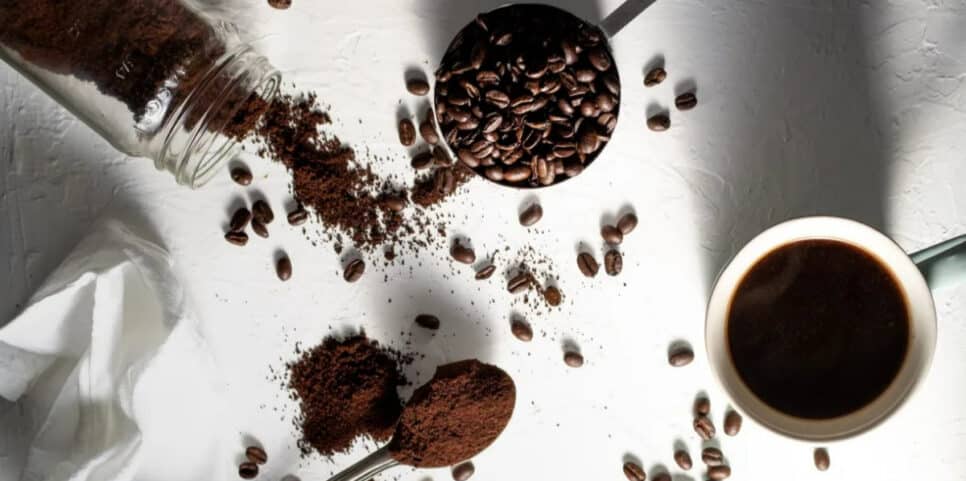Veja como o café moído pode ajudar as suas plantas (Foto: Christina Rumpf/Unsplash)