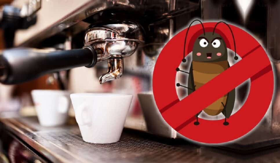 Praga Café espanta baratas e outros bichos (Foto: Reprodução/ cafeteiratres)