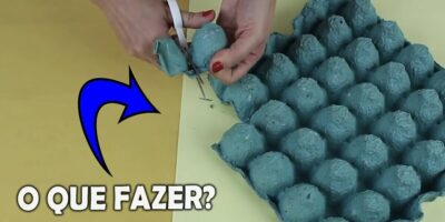 As diversas utilidades das caixas de ovos (Imagem: Reprodução/YouTube)