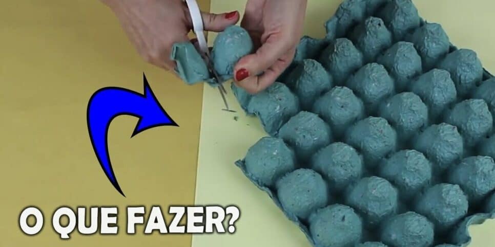 As diversas utilidades das caixas de ovos (Imagem: Reprodução/YouTube)