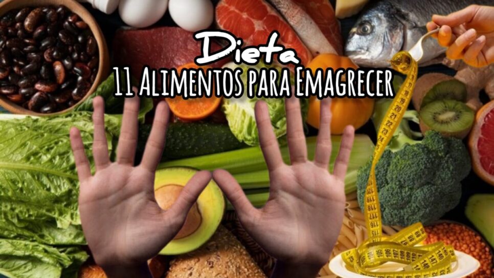 Lista de 11 alimentos para ajudar a perder peso (Fotos: Reprodução/ FreePik/ Montagem Gustavo)
