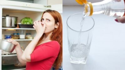 Imagem do post ELIMINE germes, bactérias e maus odores: Truque do copo de VINAGRE na geladeira é a SOLUÇÃO chocante