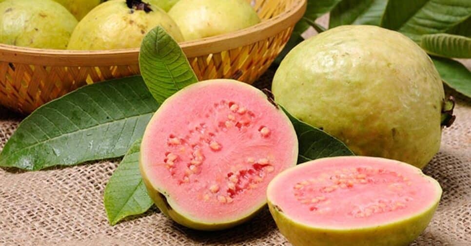 Os benefícios de comer uma goiaba com casca por dia (Foto: Reprodução/ FreePik)