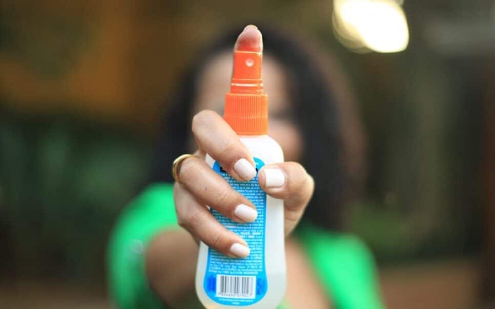 Saiba o melhor repelente contra o mosquito da dengue (Foto: Reprodução/ OlharDoVale)