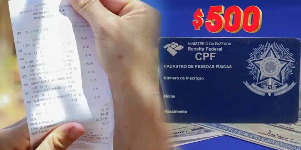 Nota Fiscal e CPF (Foto: Reprodução / Pronatec)