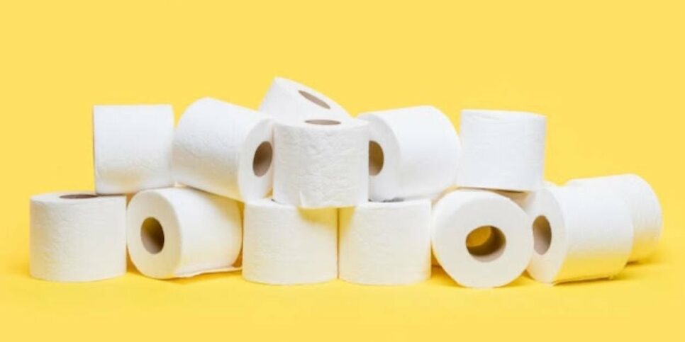 Descubra como o papel higiênico pode ser seu aliado na limpeza doméstica (Foto: Reprodução/Internet)