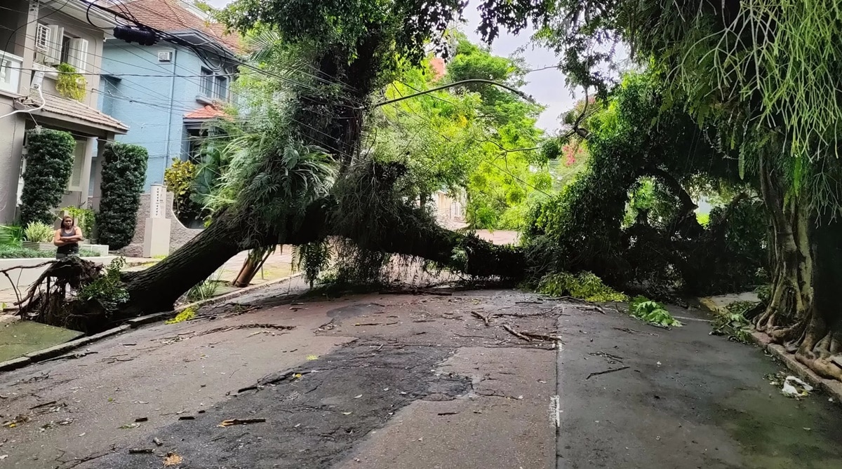 Foto dos estragos da tempestade em bairros de Porto Alegre (Foto: Reprodução/ Prefeitura)