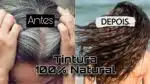 Descubra tintura 100% natural com 1 ingrediente que vai acabar com os brancos e grisalhos (Fotos: Reprodução/ FreePik/ Montagem)