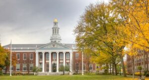 Segundo estudo feito pela Universidade Harvard, o shot matinal pode tratar até problemas de pele e digestivos (Foto: Reprodução / Canva)