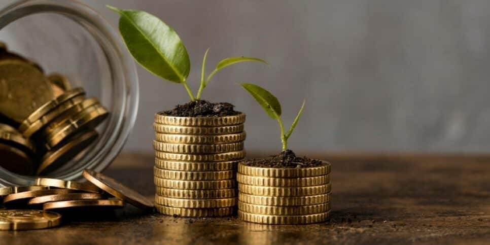 O objeto que promete trazer riqueza para sua vida (Foto: Reprodução/Freepik)