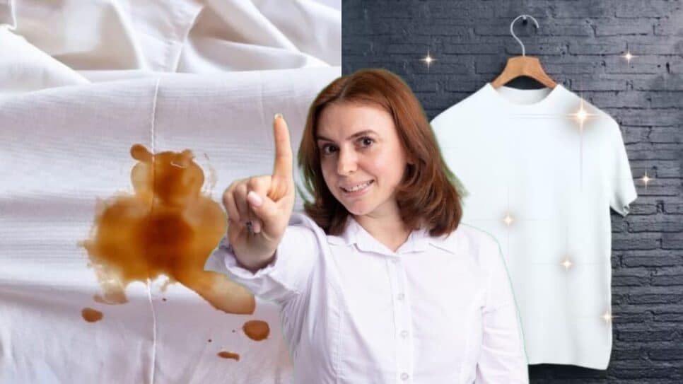 Apenas 1 ingrediente para fazer um tira manchas caseiro e devolver o branco de sua peça de roupa (Fotos: Reprodução/ Internet/ FreePik/ Montagem)