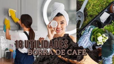 Imagem do post NÃO JOGUE a Borra de Café fora! Conheça 18 UTILIDADES surpreendentes na LIMPEZA, BELEZA e JARDINAGEM