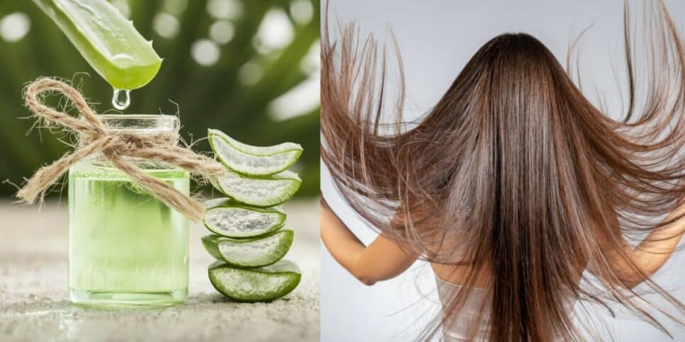 Babosa, alecrim e cabelo de mulher (Foto: Reprodução / Canva)