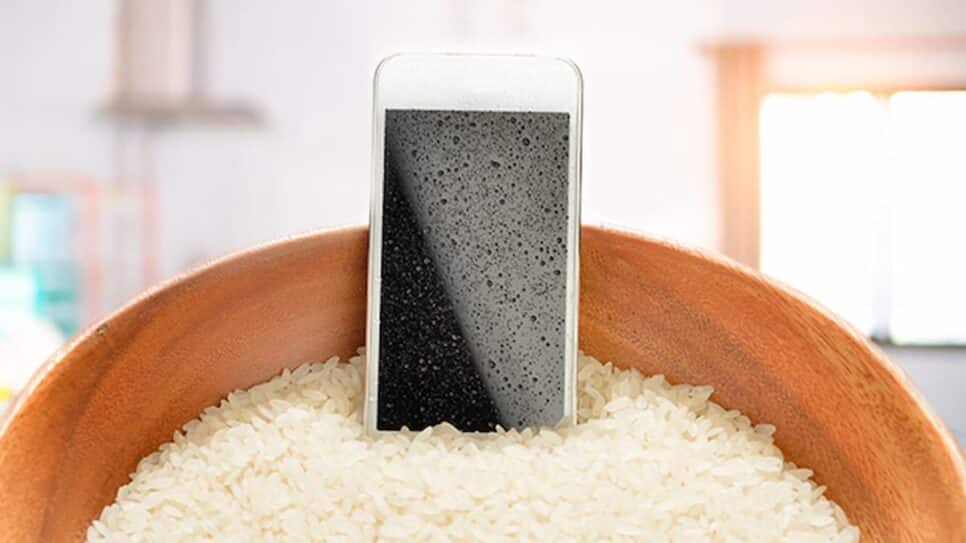 iPhone no arroz não é recomendado pela Apple (Imagem: Reprodução)