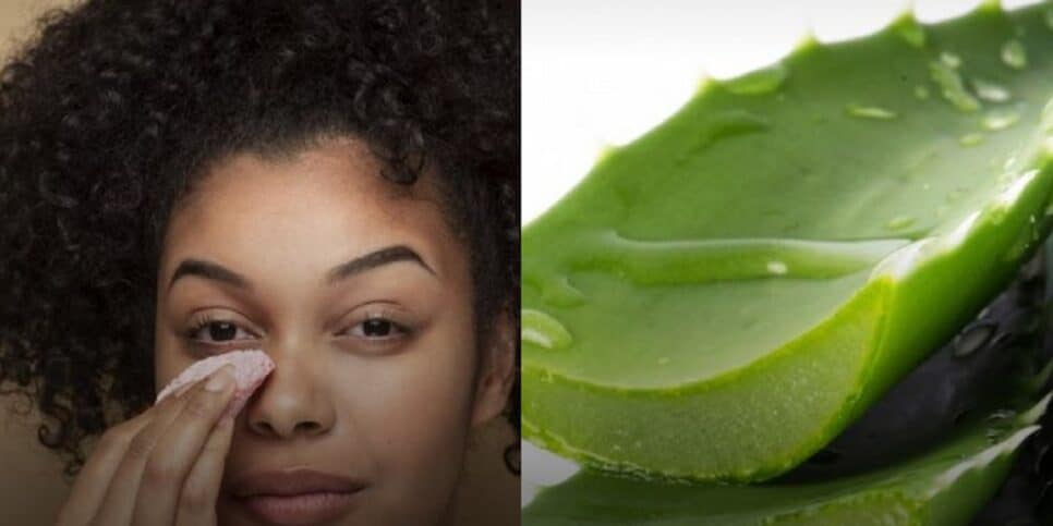 Aloe vera planta Babosa para as olheiras (Foto: Reprodução/ Rádio Jornal/ Montagem)