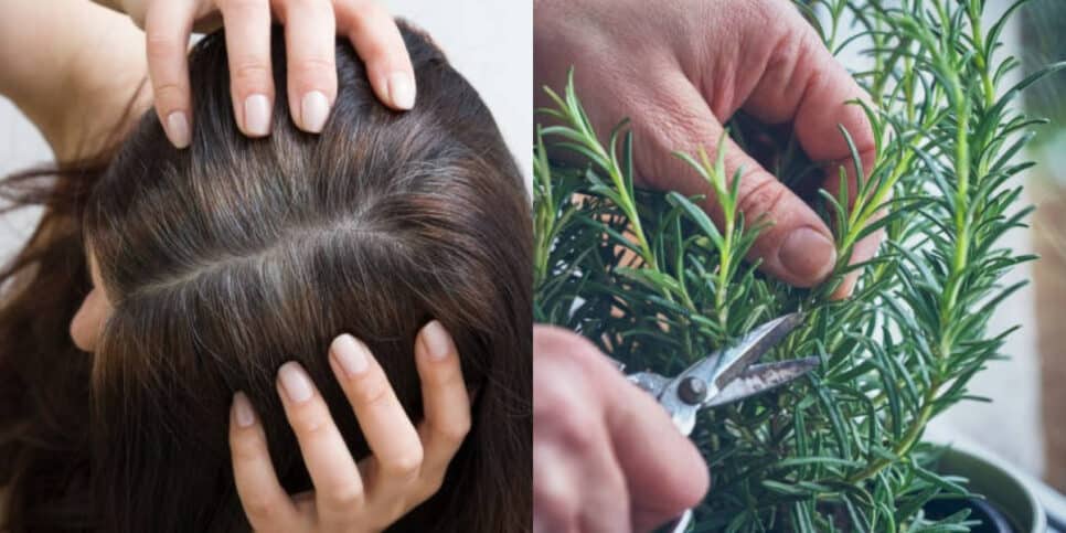Cansada dos fios brancos? Aprenda a eliminar o grisalho do cabelo (Foto: iStock/Montagem AatonTuraTV)