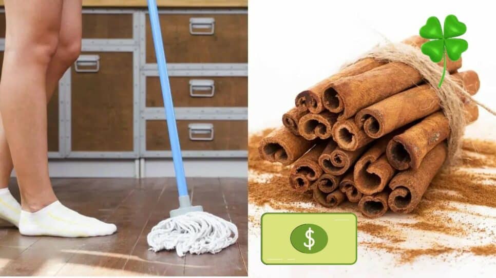 Aroma Canela é aliada na limpeza e nas energias positivas (Foto: Reprodução O Petróleo/ Montagem)