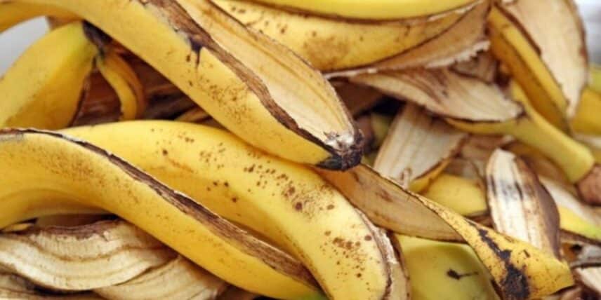 Casca de banana pode ser aproveitada de diversas formas (Imagem: Reprodução)